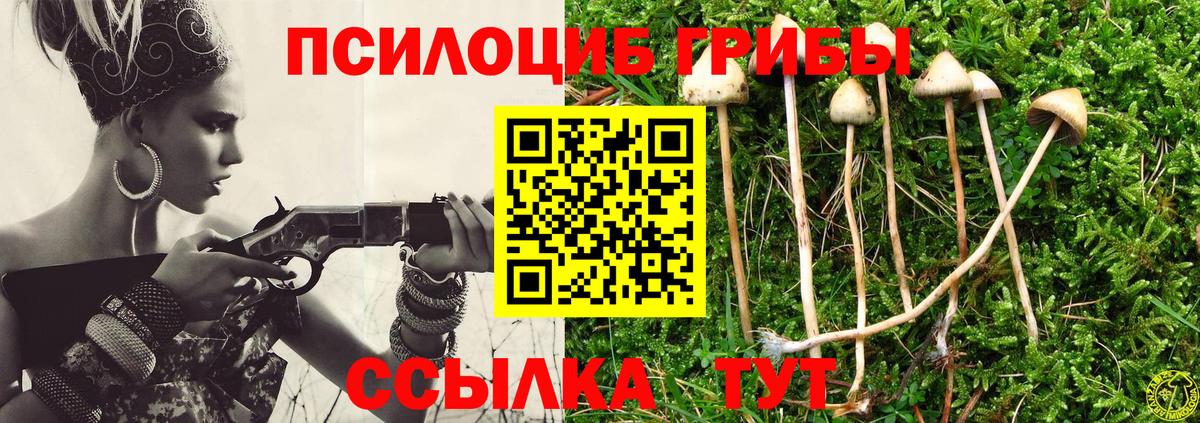 Псилоцибиновые грибы MAGIC MUSHROOMS  Вход с VPN  Майский 